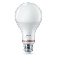 Philips Smart LED Leuchtmittel Tunable White & Color A67 E27 Birne 13 W