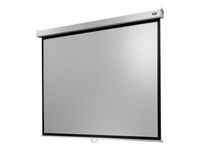 celexon Rolloleinwand Professional Plus 4:3, 160 x 120 cm Projektionsfläche