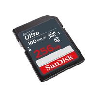 SanDisk Ultra Lite SDXC    256GB 100MB/s       SDSDUNR-256G-GN3IN