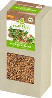 Keimsprossen Ruca-Salatrauke (200 g) |Keimsprossen von FLORTUS