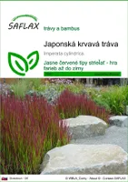 SAFLAX - Japonská krvavá tráva - Imperata cylindrica - 50 Semená