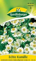 Quedlinburger Saatgut - Echte Kamille Bodegold - Samen - 493832