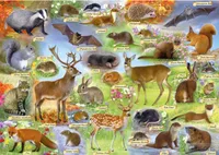 Gibsons British Wildlife (500)
