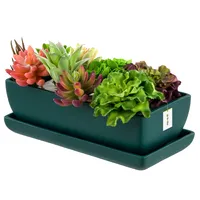 Blumentopf Keramik Dunkel grün Kaktenschale mit Untersetzer Rechteck LxBxH 15 cm x 29 cm x 9 cm Oberfläche Matt Kakten Modern Glamour