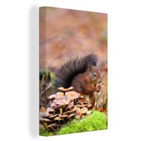 Eichhörnchen mit Nuss  Leinwandbild Wanddeko Kunstdruck