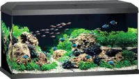 Akvárium Juwel včetně krytu Osvětlení Filtrační systém včetně oběhového čerpadla Vnitřní filtr Topení/topná tyč 81 x 36 x 43,5 cm, cca 110 l