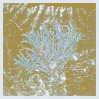 Huerco S.: Huerco S.: For Those Of You Who Have Never (Reissue) - WAS Word  - (LP / F)