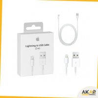 Original Apple USB to Lightning 2m Cable Ladekabel