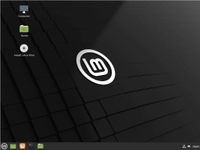 USB-Live Stick: Linux Mint Cinnamon 64Bit 32 GB USB 3.0