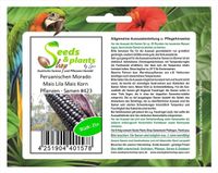25x Peruanischen Morado Mais Lila Mais Korn Pflanzen - Samen #423