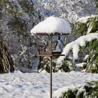 CLGarden Vogelfutterhaus VFH1 Gusseisen Garten Vogelhaus Vogelfutterstation für Wildvögel Futterhaus wetterfest mit Erdspieß Ständer Stecker auf Stab Metall