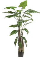 Kunstpflanze - Alocasia - 180 cm