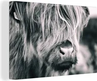 OneMillionCanvasses® - Obrazy na plátně - Skotský horal - Kráva - Černá - Bílá, nástěnná malba, nástěnné dekorace obrazy obývací pokoj, 120x80cm
