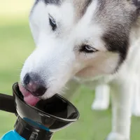 Hunde Wasserflasche mit Napf (Blau)