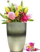 Blumenvase Wahl Tischvase Glasvase Dekovase Vase Blumentopf  Pflanztopf (Grau)