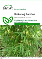 SAFLAX - kalkatský bambus - Dendrocalamus strictus - 50 Semená