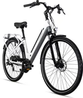 Bergsteiger Hampton 28 Zoll City E-Bike mit 250 Watt Motor, Scheibenbremsen, Aluminium Ebike für Damen & Herren, Farbdisplay, Elektrofahrrad mit Shimano 6 Gang-Schaltung