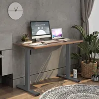 Flexispot Elektrisch Höhenverstellbarer Schreibtisch 120X80 mit Tischplatte 2-Fach-Teleskop, mit Memory-Steuerung