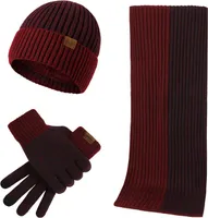 sada 3 kusů zimních čepic, šál a rukavic, dvoubarevný svislý design / burgundská červená