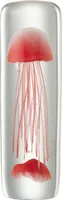J-line - Briefbeschwerer Qualle Zylinder Rot - 9x9x29,5cm