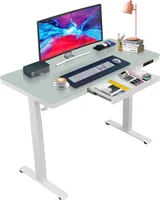 Arbeitstisch Elektrischer Höhenverstellbarer Schreibtisch, 120x60cm Tischplatte Höhenverstellung 70-115cm, mit USB & Type-C,Kindersicherung