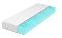 IZER Aqua Wave Kaltschaummatratze Härtegrad H3 70x200 11cm Orthopädische RG30 Matratze 7-Zonen Matratzenbezug mit Reißverschluss