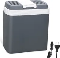 SWANEW lodówka elektryczna 24 l mini lodówka 230 V i 12 V do samochodu kempingowego chłodzi i ogrzewa | tryb ECO (szary)