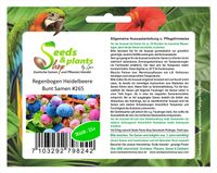 15x Regenbogen Heidelbeere Bunt Obst Garten Pflanzen - Samen #265