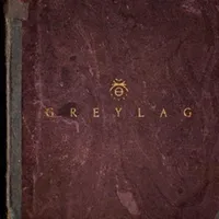 Greylag-Greylag