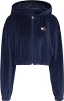 Tommy Hilfiger Sweatshirts DW0DW14354C87, Größe: 168