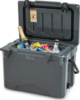 COSTWAY 21L izolovaný chladiaci box prenosný, tepelný kontajner s otváračom fliaš a rukoväťou, termobox na prepravu potravín na kempingové pikniky
