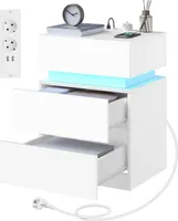 WOLTU Nachttisch mit Ladefunktion, LED-Beleuchtung 25 Lichtfarben, 2 Schubladen, Weiß : 1 Stückzahl: 1