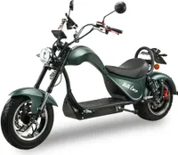 Elektrický skútr BILI COCO COBRA 2000 W, 60V 20Ah lithiová baterie, s alarmem, držák mobilního telefonu, 45 km/h, zelený