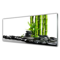 Glasbilder Wandbild Druck auf Glas 125x50 Bambusrohre Blume Pflanzen