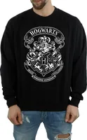 Harry Potter - Sweatshirt für Herren BI700 (3XL) (Schwarz)