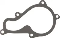 Dichtung Piaggio Wasserpumpe für 350 ccm, 880727