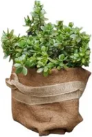 TrendLine Kokosschutz-Matte 1,5 x 0,5 m