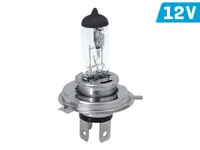 Żarówka VISION H4 12V 60/55W P43t U E4