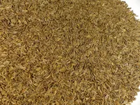 Dillsaat ganz Naturideen® 100g