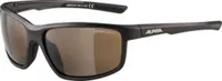 Alpina Defey Tin/Black Matt/Brown