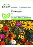 SAFLAX - Wildblumen: Kinderspaß - 1000 Samen - 11 Wildflower Mix