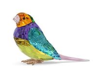 Swarovski IDYLLIA SCS GOULDIAN FINCH SMALL 5689266 Neuheit 2023