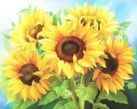 Malen nach Zahlen Sonnenblumen 40 x 50 5554