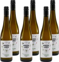 Winzerleben Riesling -feinherb- (6 x 0,75L)