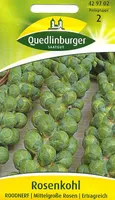 Quedlinburger Saatgut - Rosenkohl Roodnerf - Samen - 429702