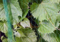 Vogelschutznetz Laubnetz Gartennetz Teichnetz Pflanzenschutznetz 5x10m +10Stifte