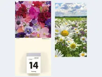 Kalender-Rückwand 14,5x30 Blumenmotive sort