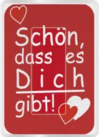 Pocket Cleaner Rot "Schön das es dich gibt"