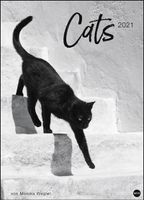 Cats Edition - Kalender 2021