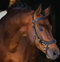 Horseware Ireland Zaum Micklem Rambo Multibridle Trense Schwarz X- Full